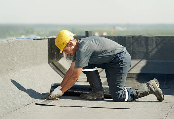 Best Eco-Friendly Insulation in Williamsport, OH