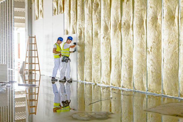 Best Spray Foam Insulation in Williamsport, OH